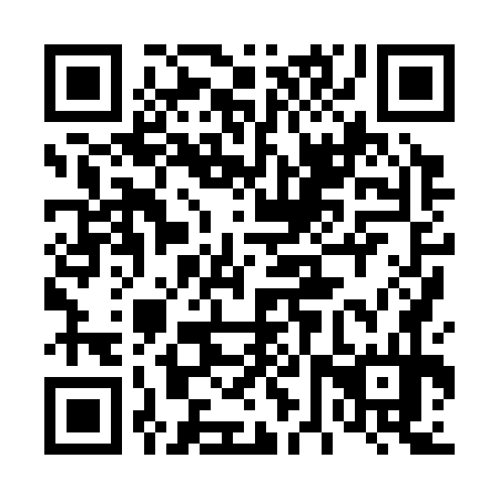 QR code for 46X374
