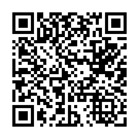 QR code for 46Y 493
