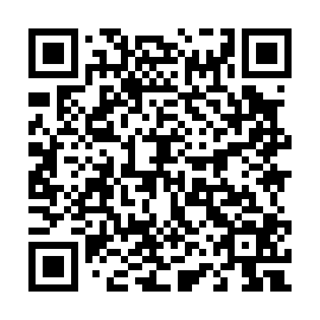 QR code for 46Y004