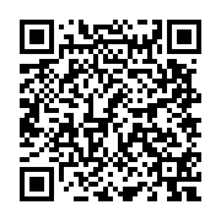 QR code for plate 46Z 510