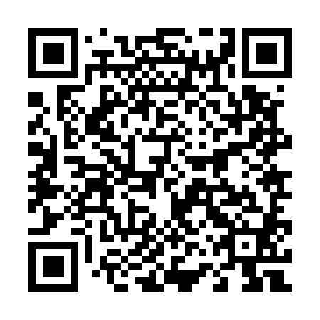QR code for plate 46Z 580