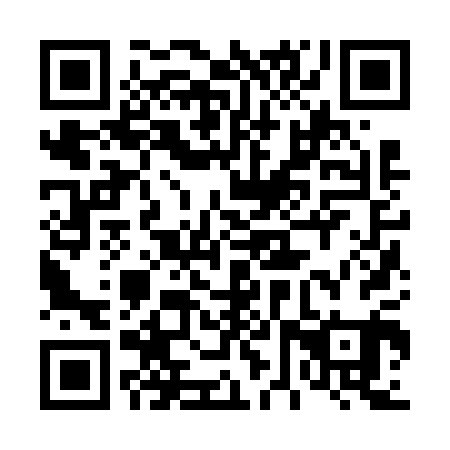 QR code for plate 46Z 601