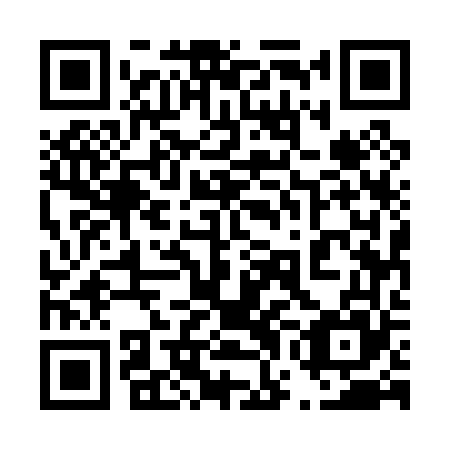 QR code for plate 47E 065