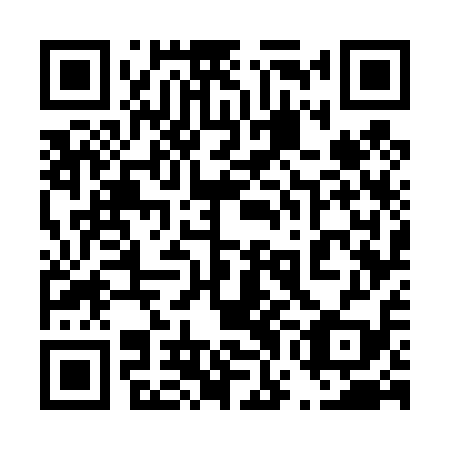 QR code for plate 47G 419