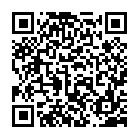 QR code for plate 47N 036