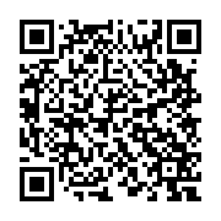 QR code for 48P 163