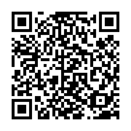 QR code for plate 48Y 438