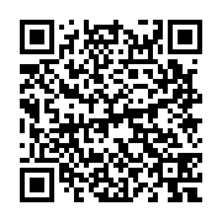 QR code for plate 49A 138