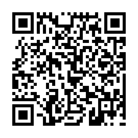 QR code for plate 49B 911