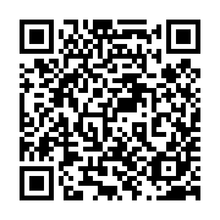 QR code for plate 49C 480