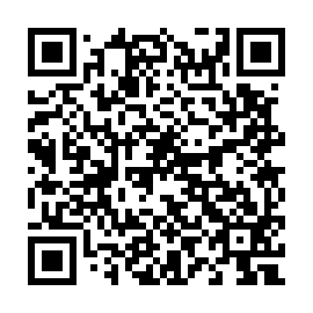 QR code for plate 49C 593