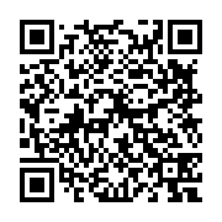QR code for 49C838