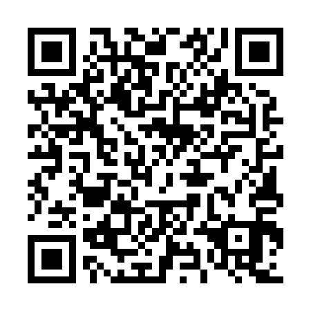 QR code for plate 49E 811