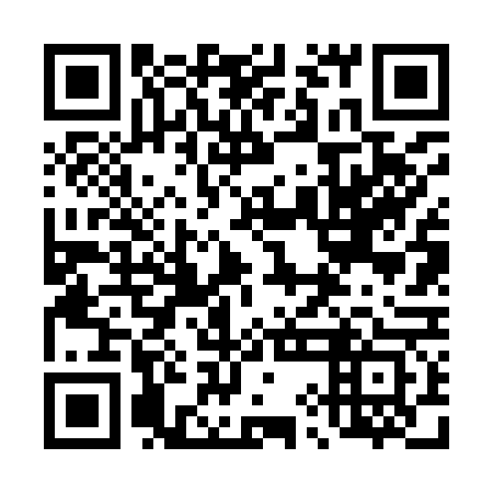 QR code for plate 49F 963