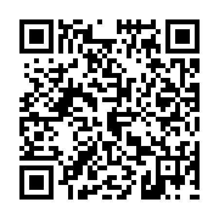 QR code for 49I 336