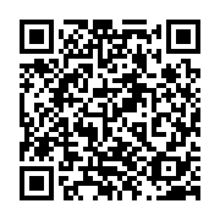 QR code for plate 49M 378