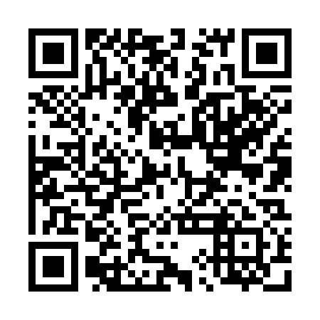 QR code for 49N 331