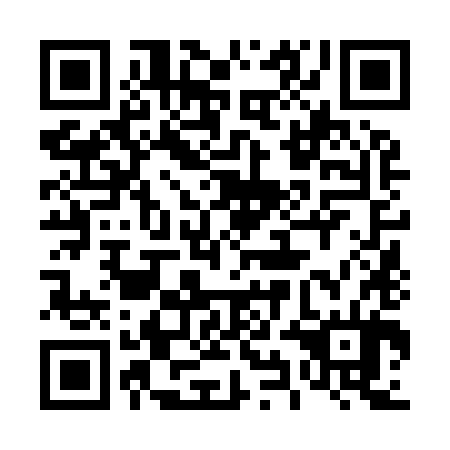 QR code for plate 49N 984