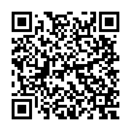 QR code for 49O 501
