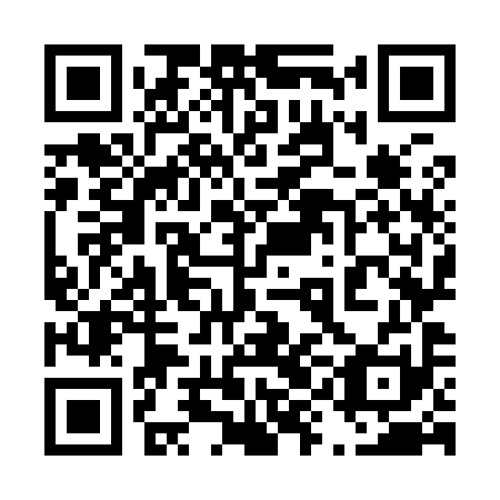 QR code for 49O 991