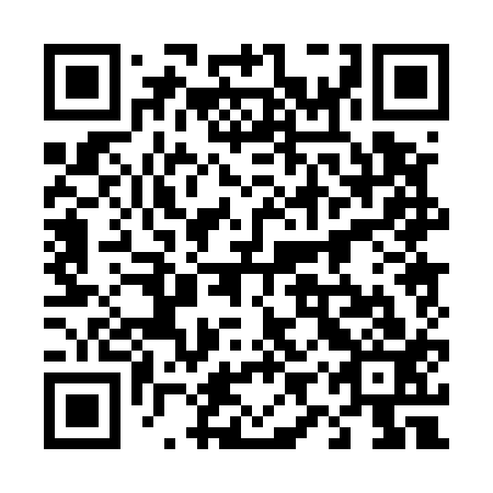 QR code for 49P 513