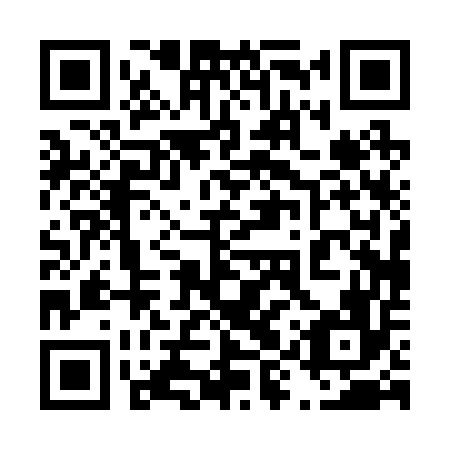 QR code for 49P256