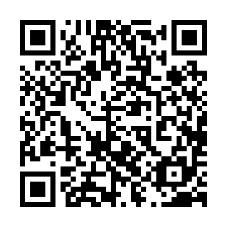 QR code for 49P295