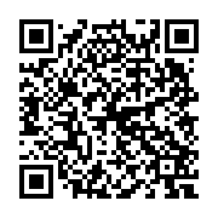 QR code for plate 49P 603
