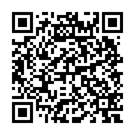 QR code for 49P619