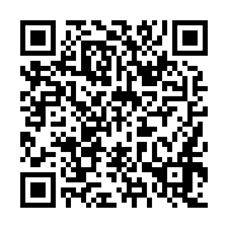 QR code for plate 49P 856