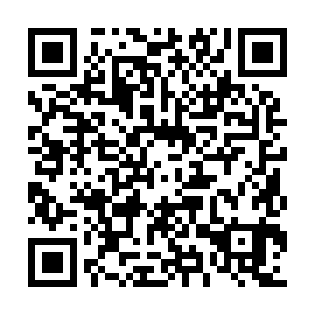 QR code for 49Q981