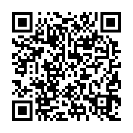 QR code for 49S 313