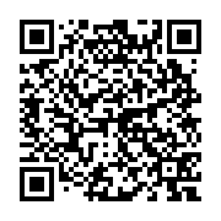 QR code for plate 49S 371
