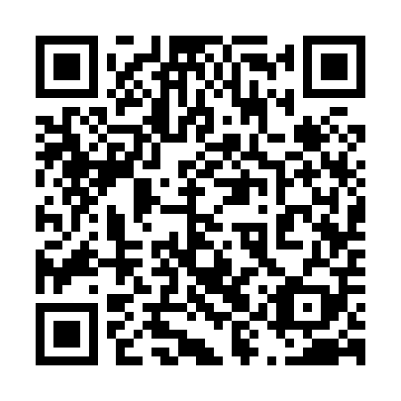 QR code for plate 49S 809