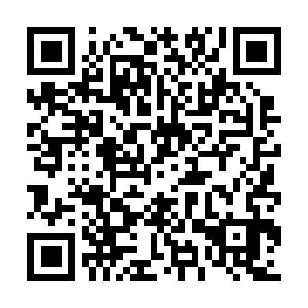 QR code for 49T 233