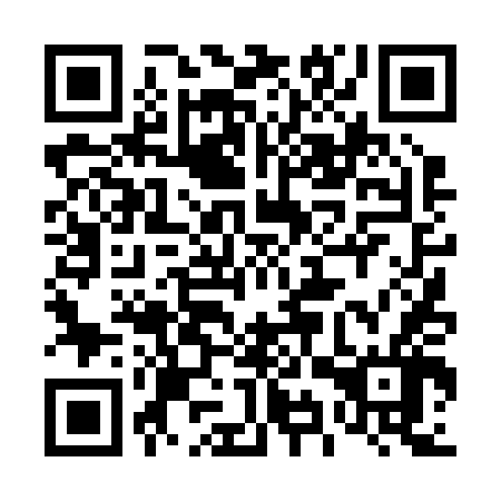 QR code for plate 49T 246