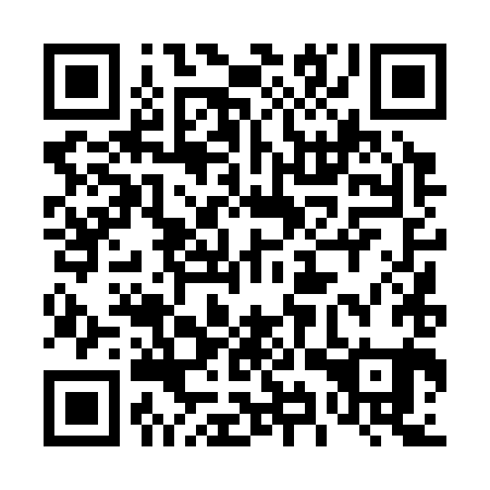 QR code for 49T381
