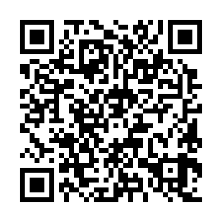 QR code for plate 49U 389