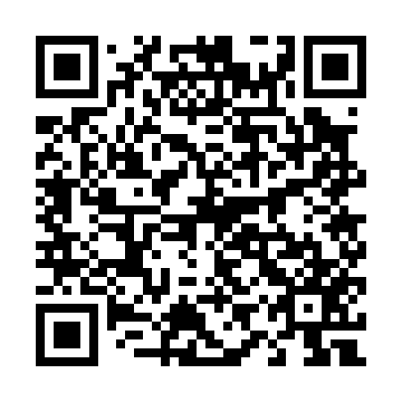 QR code for plate 49W 057