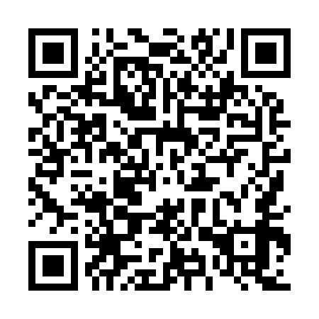 QR code for 49X 959