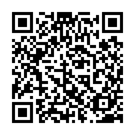 QR code for plate 49Y 700