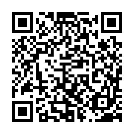 QR code for 49Z393