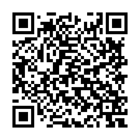 QR code for plate 4A 9863