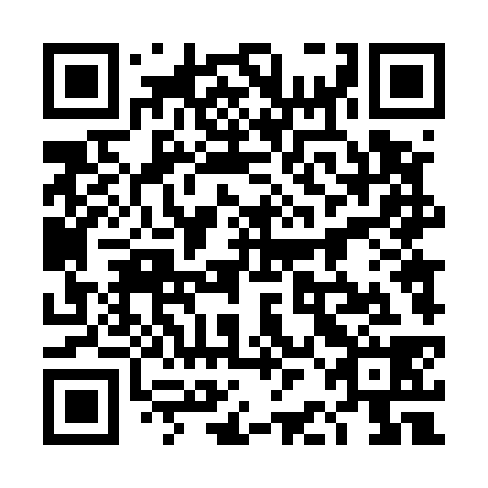 QR code for plate 4BD 538