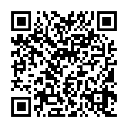 QR code for plate 4BM 038