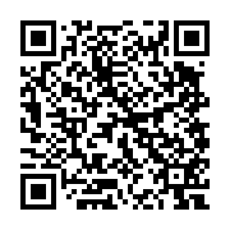 QR code for plate 4BV 451