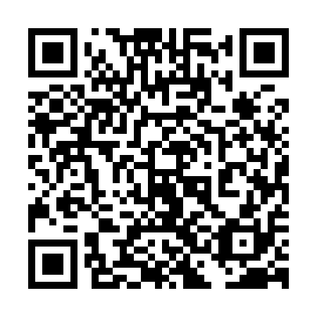 QR code for plate 4CE 910