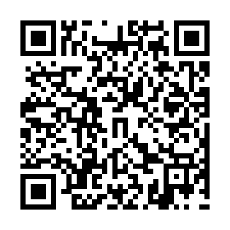 QR code for plate 4CG 377