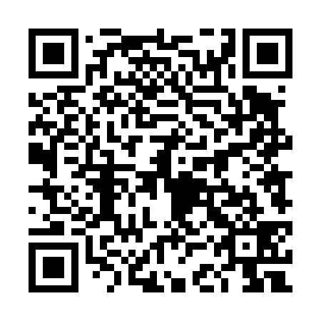 QR code for plate 4CT 439