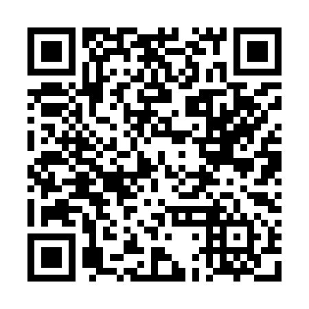QR code for plate 4DB 994
